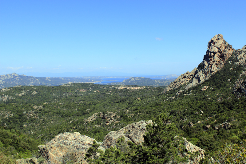 2016-05-04_113457 sardinien-2016.jpg - Wanderung zu den Trmen von San Pantaleo